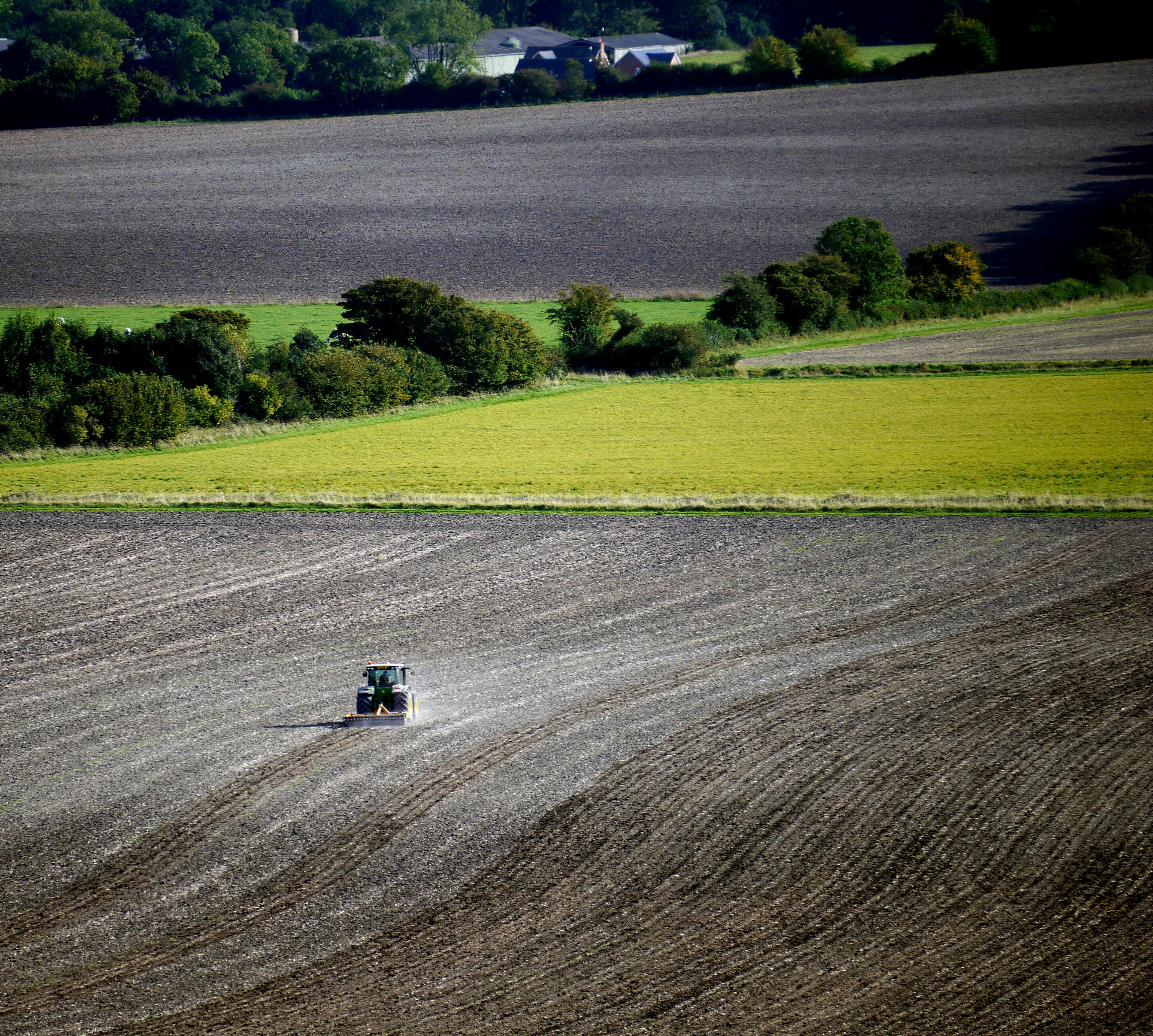 Aerial view of agricultural fields